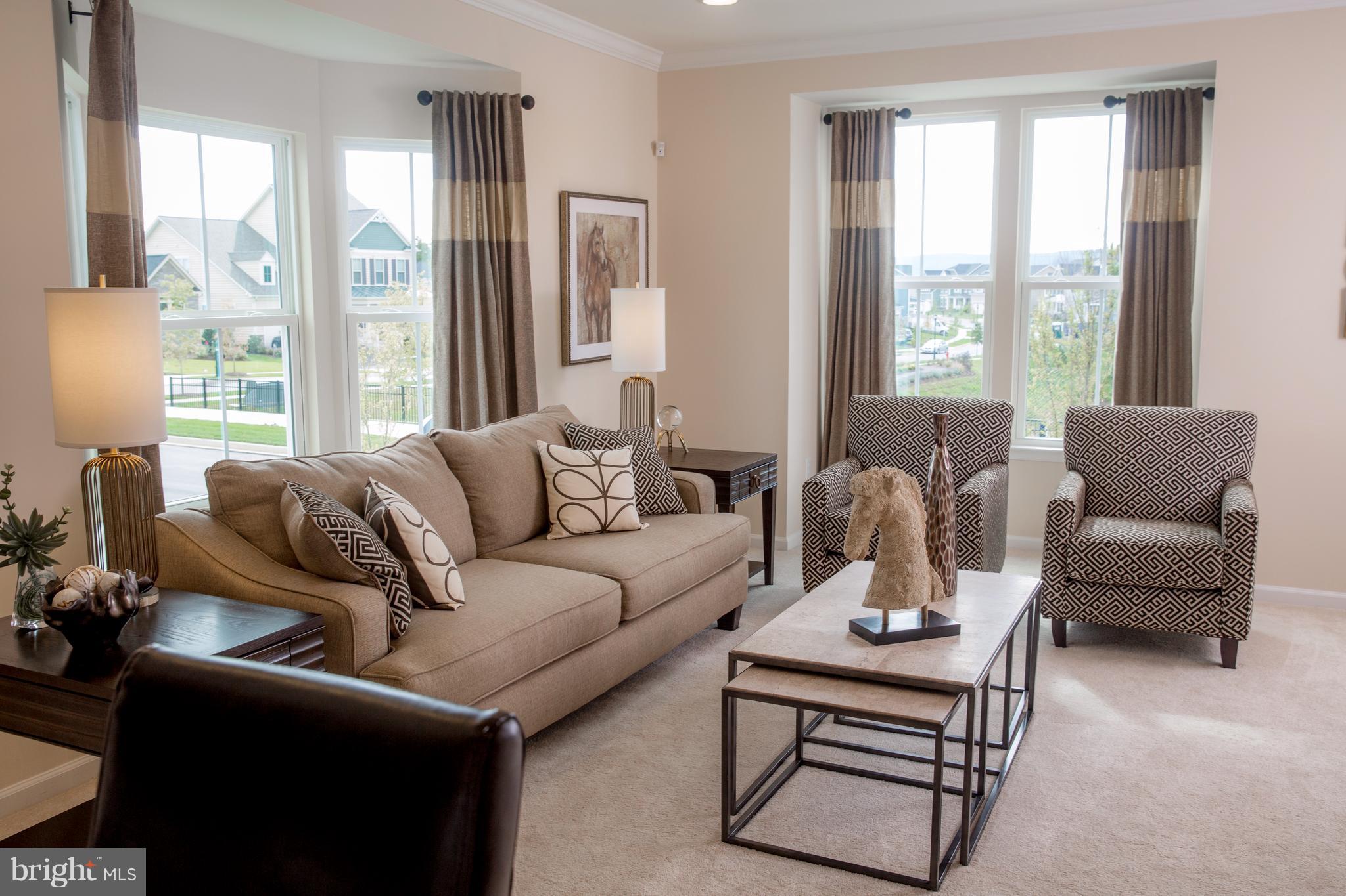9513 Watts Road Owings Mills, MD 21117 - Photo 28 of 29 Living Room