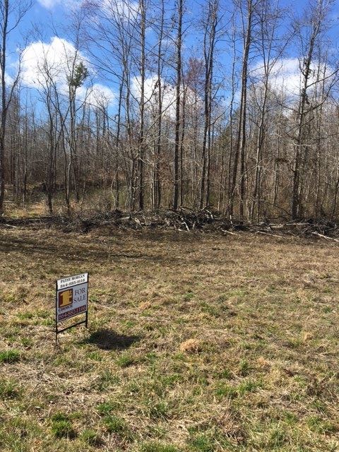 Tract A Unity Church Road Westminster, SC 29693 - Photo 1 of 7 Gallery Image 1