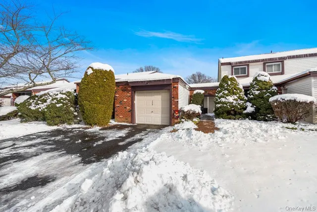 a view of a backyard with plants and trees