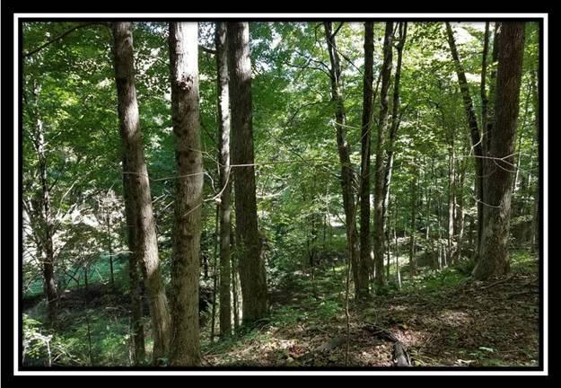 6449 West Bailey Road Nelsonville, OH 45764 - Photo 11 of 13