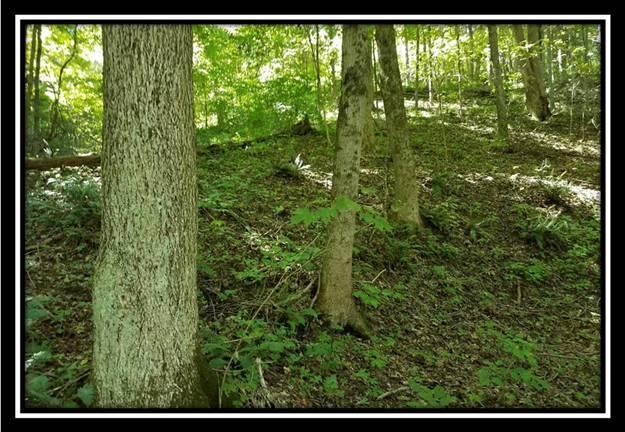 6449 West Bailey Road Nelsonville, OH 45764 - Photo 8 of 13