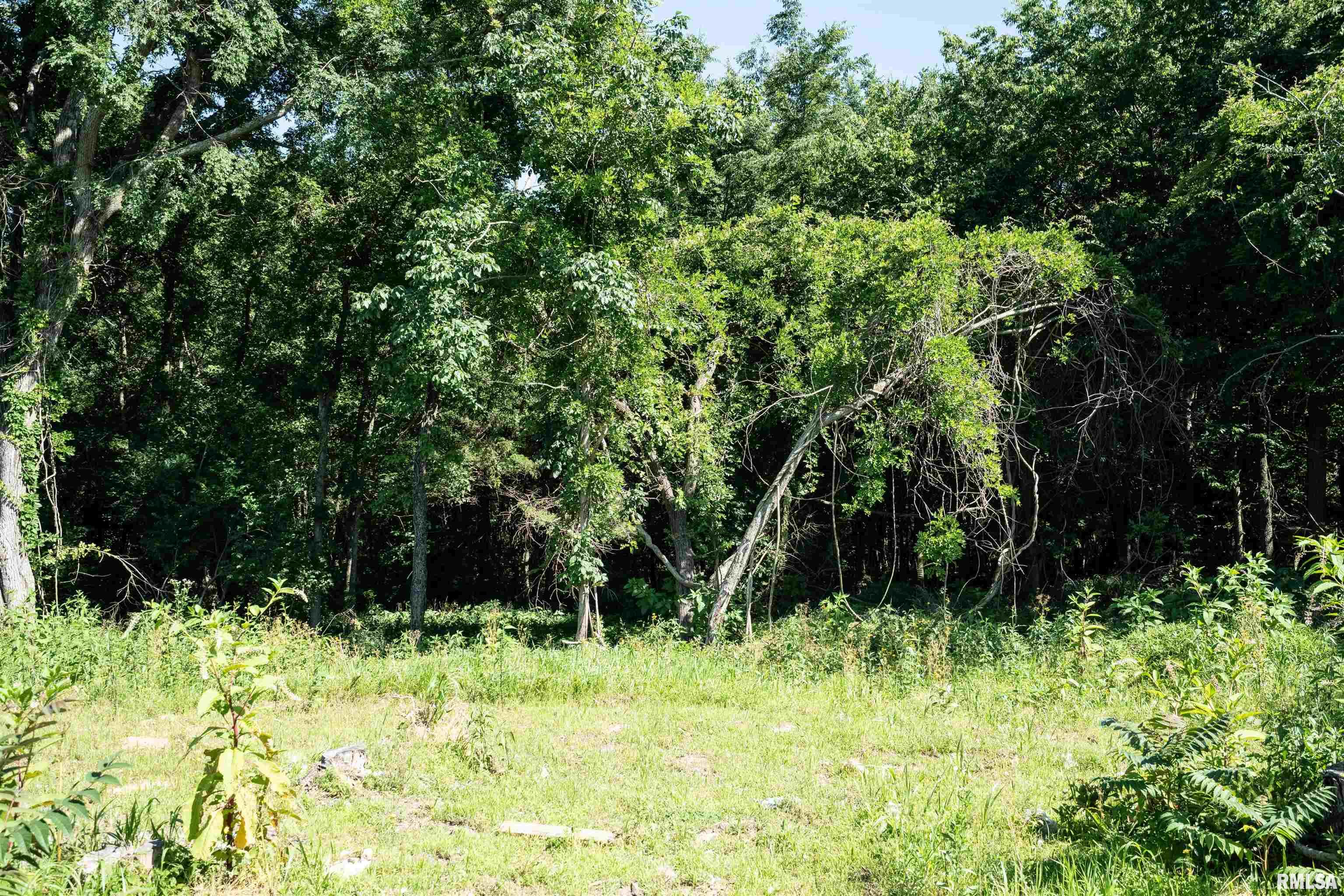 710 Old North Marion Road Goreville, IL 62939 - Photo 27 of 33