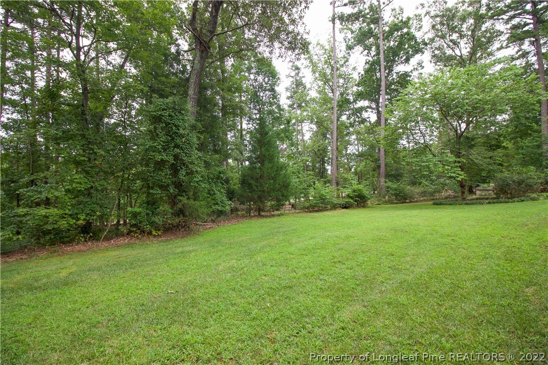 144 Manor Road Carthage, NC 28327 - Photo 12 of 47 a view of a yard with a trees