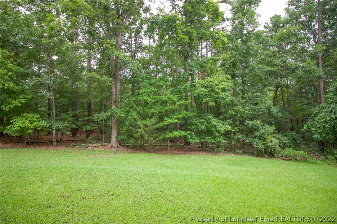 144 Manor Road Carthage, NC 28327 - Photo 15 of 47 a view of a yard with a trees