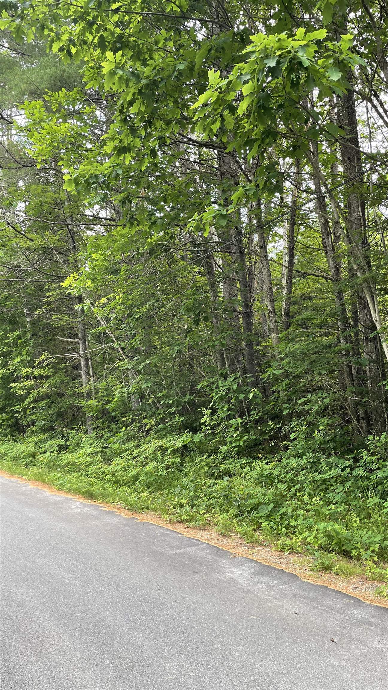 586 Bishop Road, Unit 13 Lisbon, NH 03585 - Photo 5 of 10 Gallery Image 5