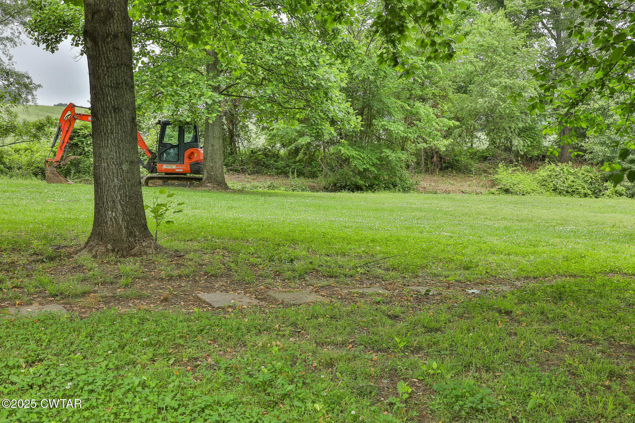 18 Tollie Markham Road Dyer, TN 38330 - Photo 24 of 27 a view of a field with trees