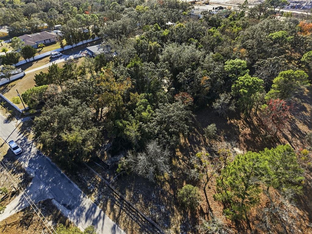 18117 Branch Road Hudson, FL 34667 - Photo 22 of 22