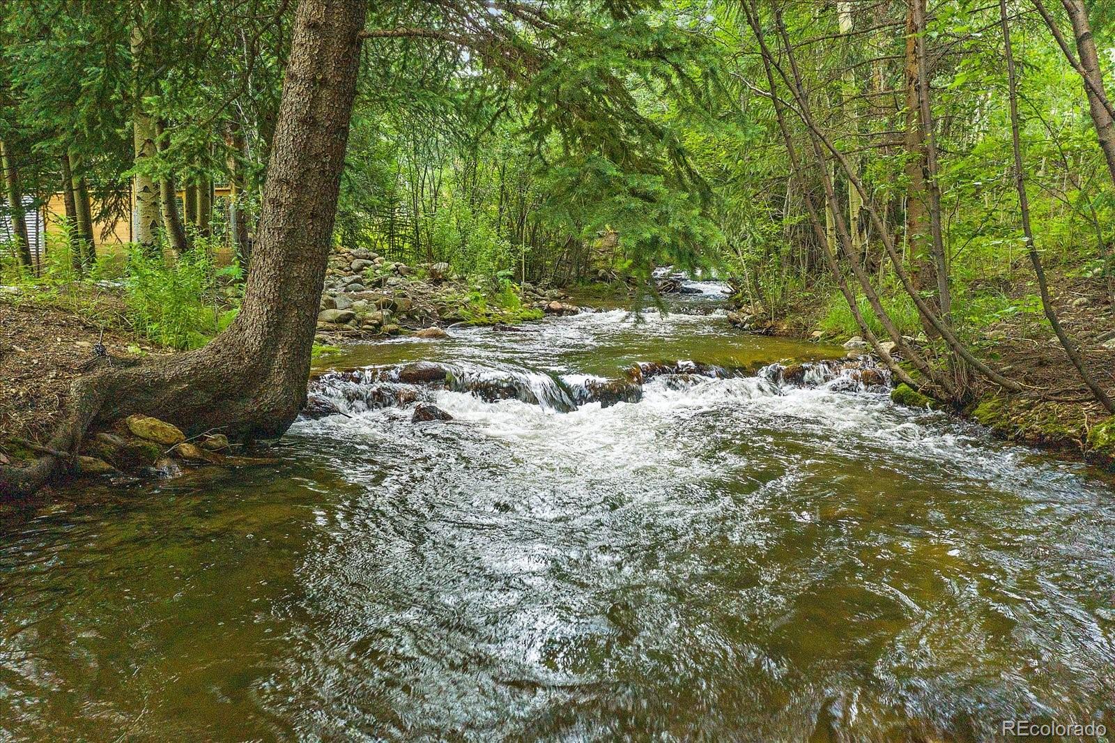 2971 Fall River Road Idaho Springs, CO 80452 - Photo 34 of 42