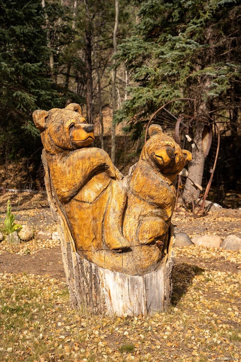 2971 Fall River Road Idaho Springs, CO 80452 - Photo 39 of 42