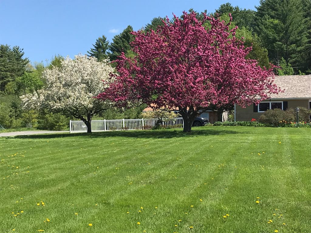 222 Sherman Road Westport, NY 12993 - Photo 5 of 42 Gallery Image 5