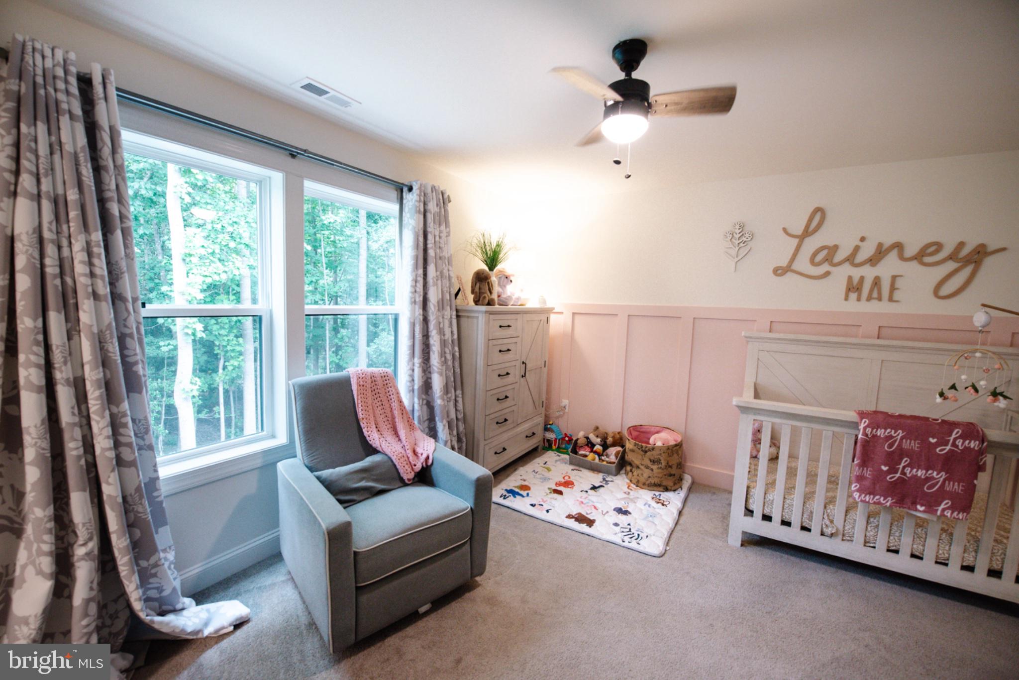 24268 Jerrico Road Lincoln, DE 19960 - Photo 27 of 44 Charming nursery with serene views.