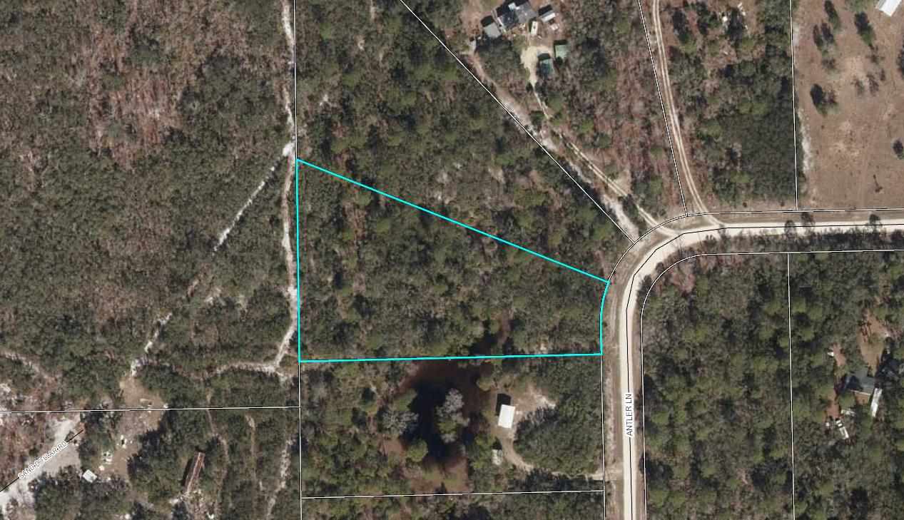 0 Antler Lane Perry, FL 32348 - Photo 2 of 3 Gallery Image 2