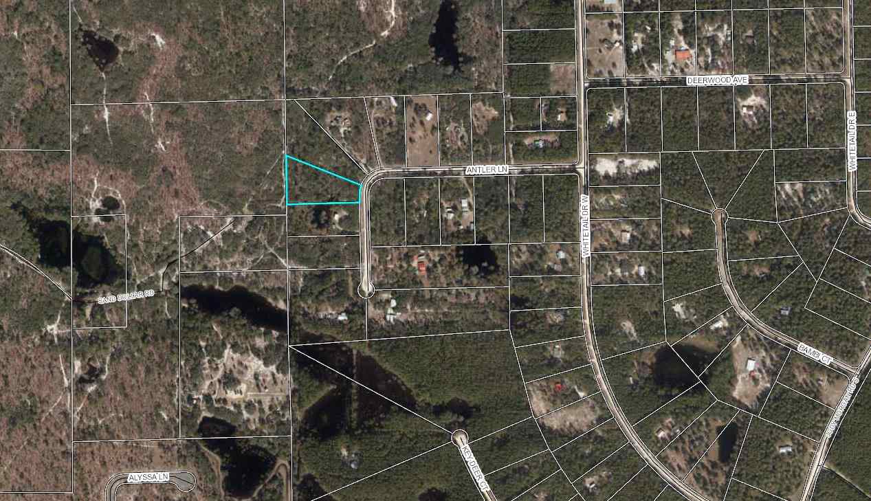 0 Antler Lane Perry, FL 32348 - Photo 3 of 3 Gallery Image 3