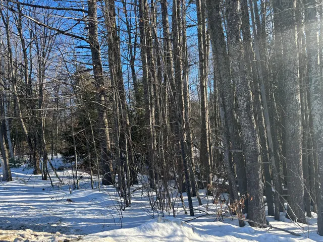 $29,900 | Lot 15-023 Intervale Road, Bethel, ME 04217