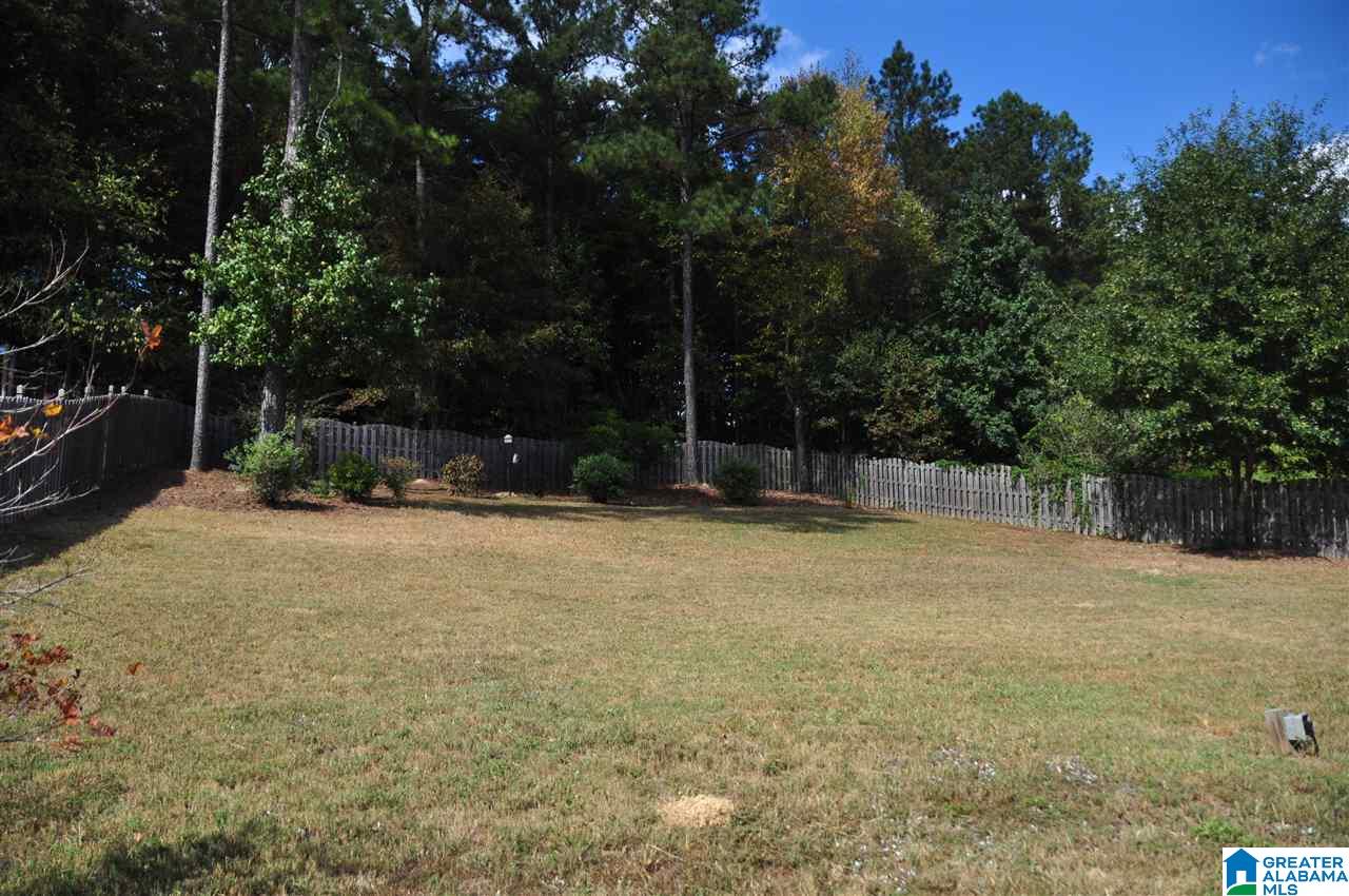169 River Birch Road Chelsea, AL 35043 - Photo 13 of 31