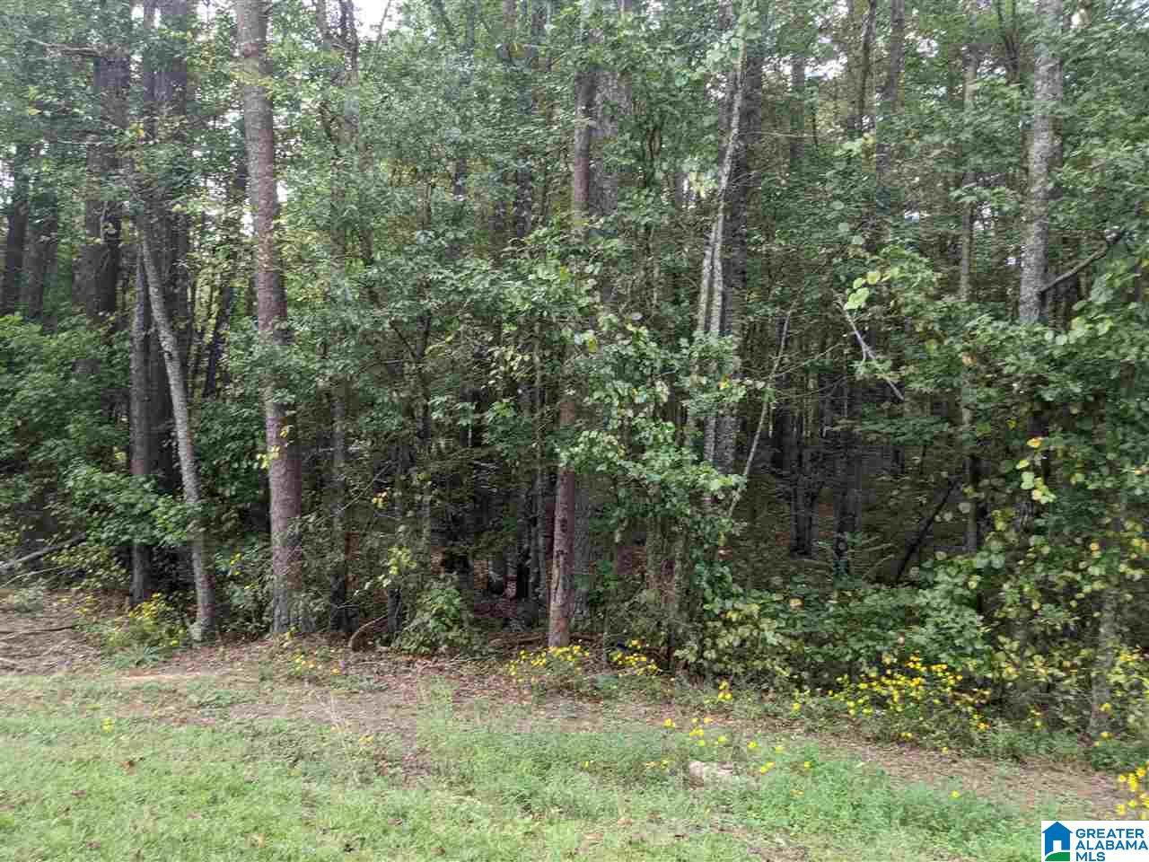 0 Smith Avenue, Unit 3 2 Anniston, AL 36207 - Photo 14 of 43