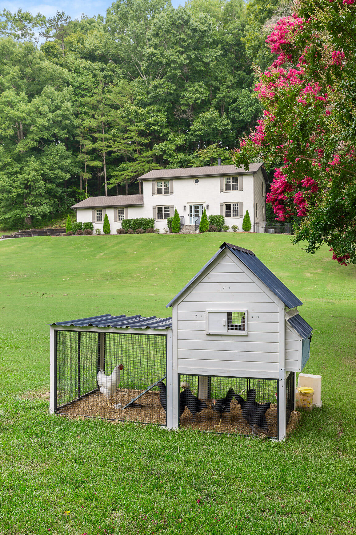 5107 Silver Lane Apison, TN 37302 - Photo 4 of 44 5107 Silver Lane