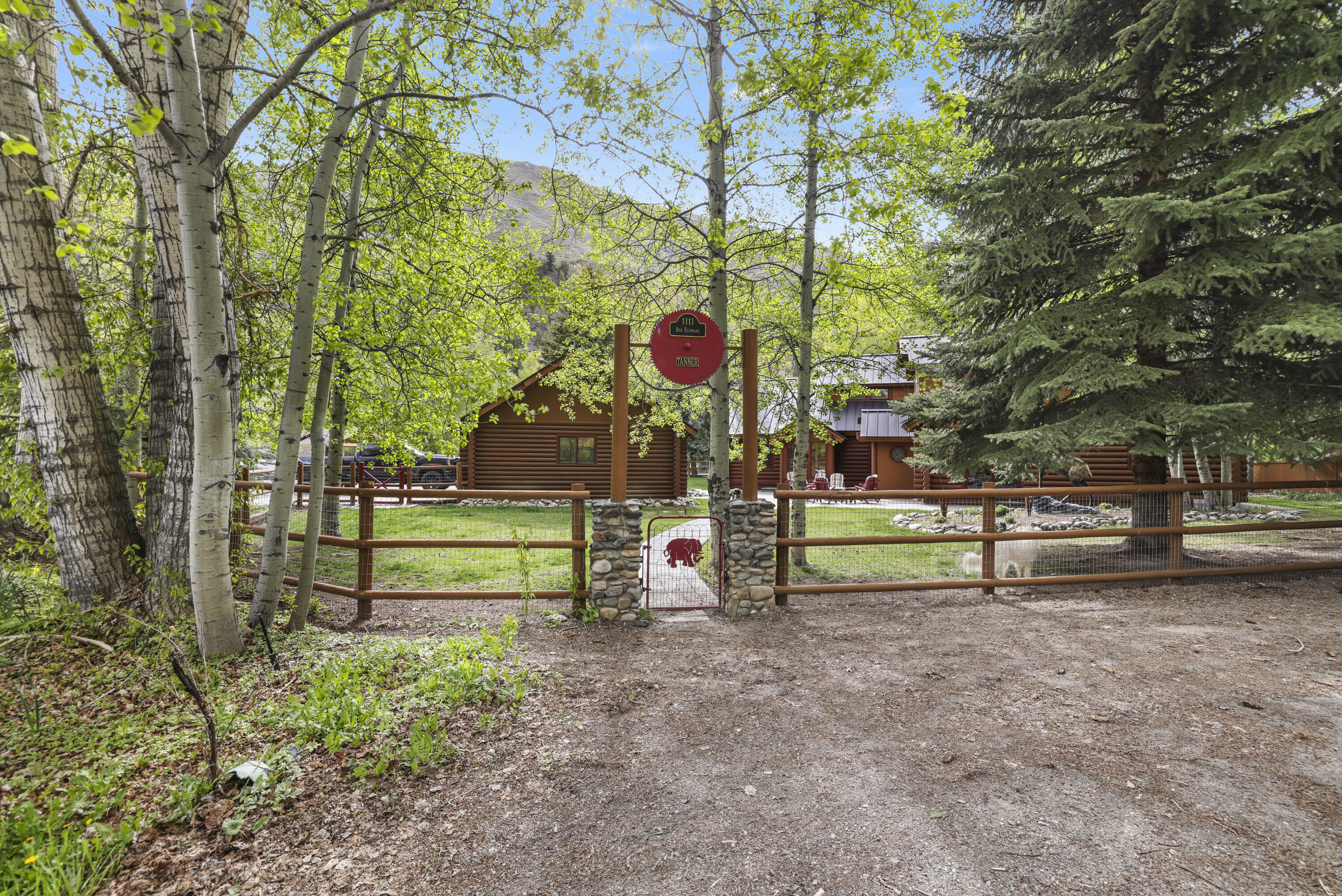 1111 Red Elephant Drive Hailey, ID 83333 - Photo 5 of 54 1111 Red elephant Dr - 58