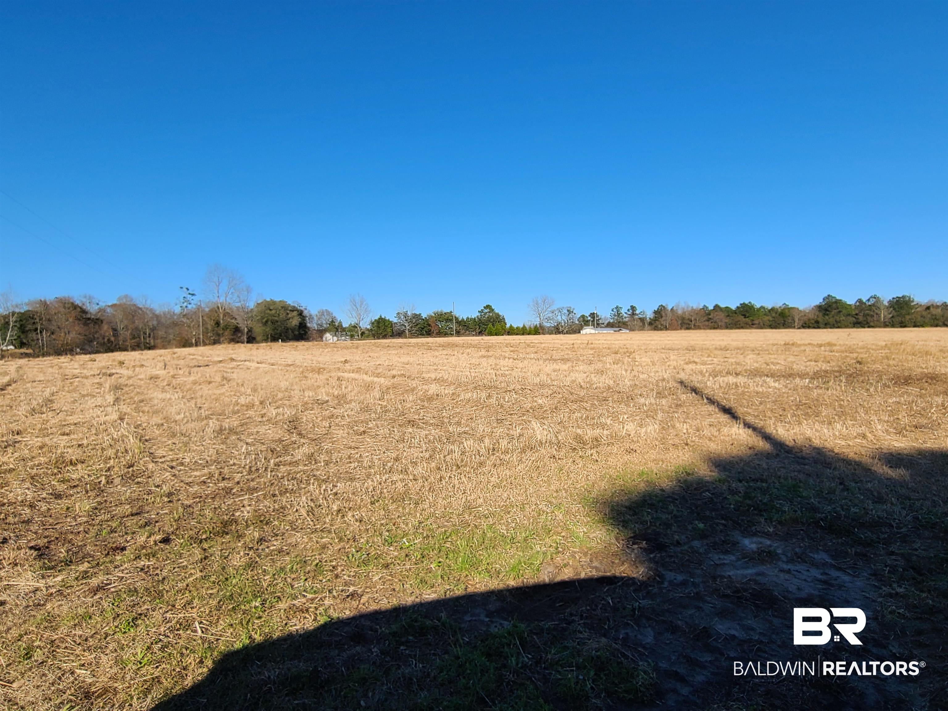 15405 Roland Davis Road North Wilmer, AL 36587 - Photo 24 of 27