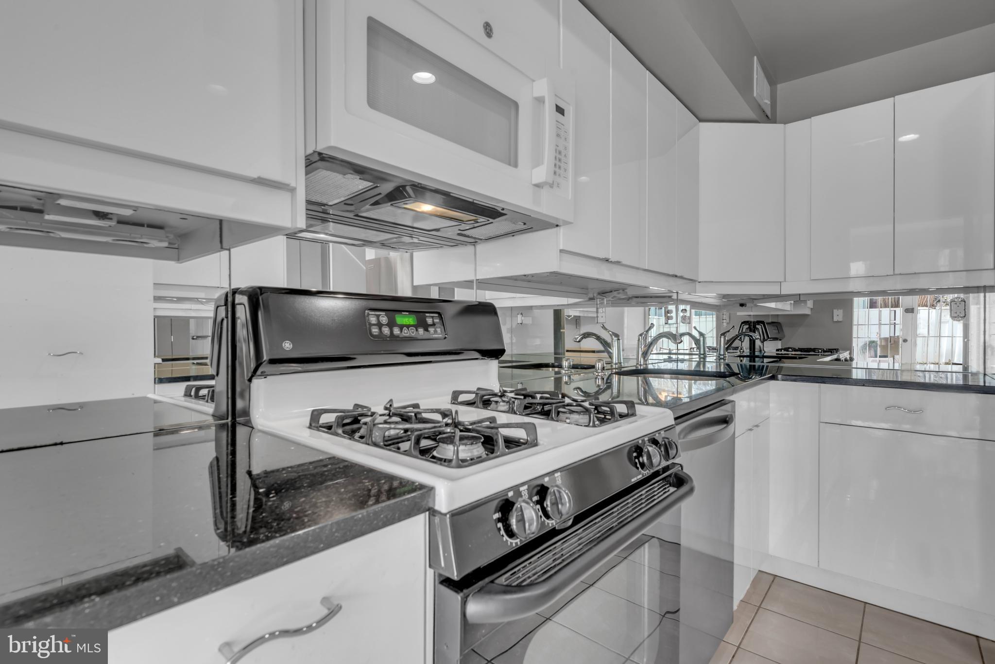164 G Street Southwest, Unit 144 Washington, DC 20024 - Photo 14 of 67 Updated Stylish Kitchen