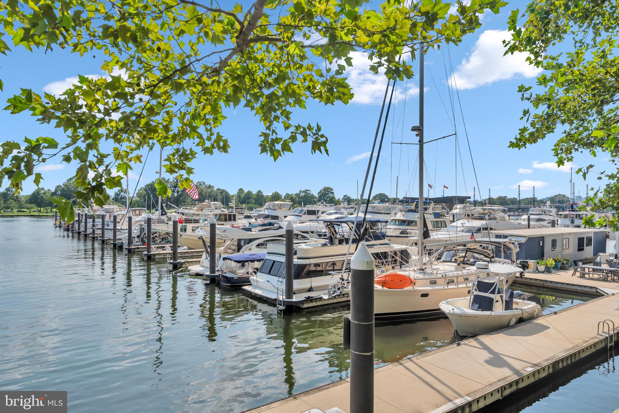 164 G Street Southwest, Unit 144 Washington, DC 20024 - Photo 47 of 67