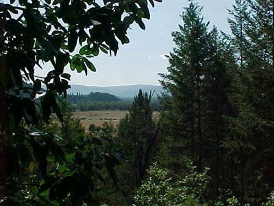 355 Browntown Road Cave Junction, OR 97523 - Photo 4 of 6 Additional Photo