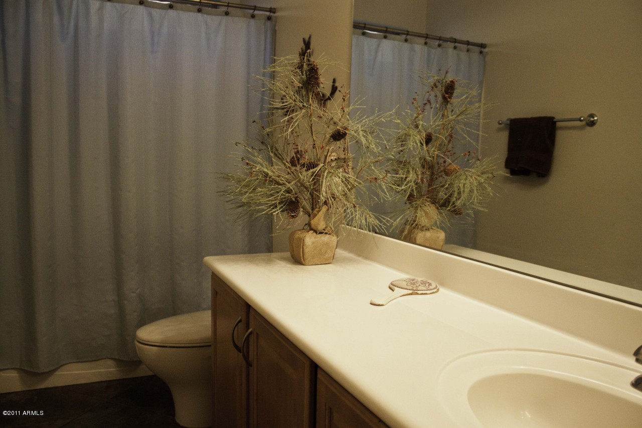 42783 West Kendra Way Maricopa, AZ 85138 - Photo 16 of 24 Bathroom