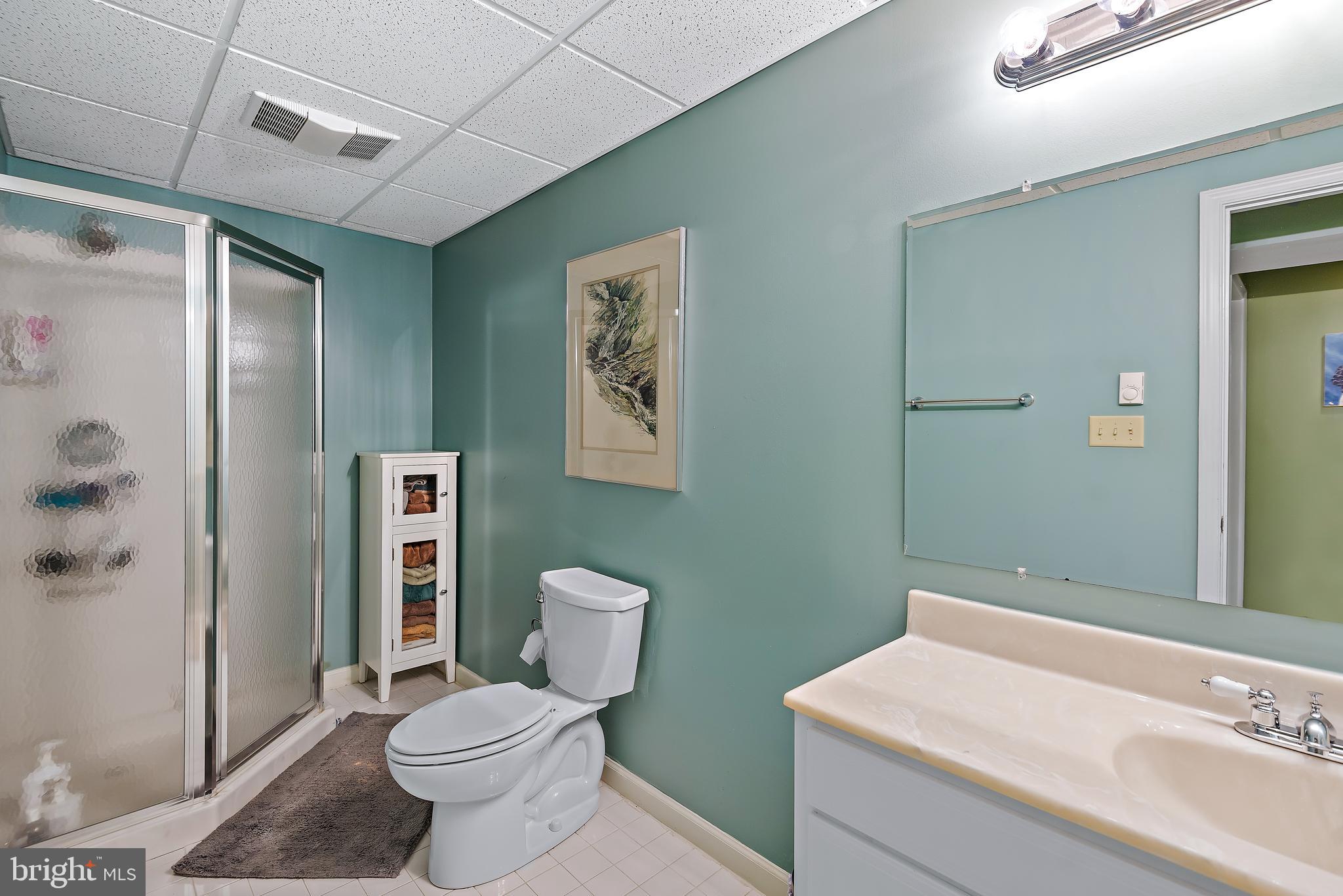 6490 South Trotter Road Clarksville, MD 21029 - Photo 47 of 57 Lower Level Full Bath #3