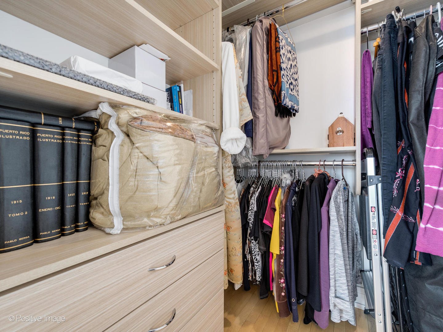 5733 North Sheridan Road, Unit 22C Chicago, IL 60660 - Photo 17 of 29 a view of walk in closet with clothes and shoes