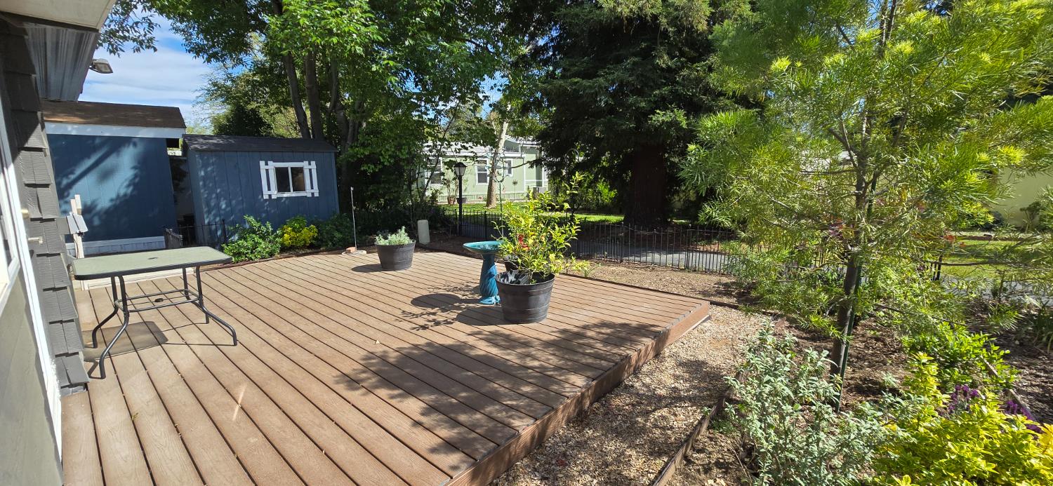 189 Full Circle Davis, CA 95618 - Photo 23 of 29 a view of a house with backyard and a tree