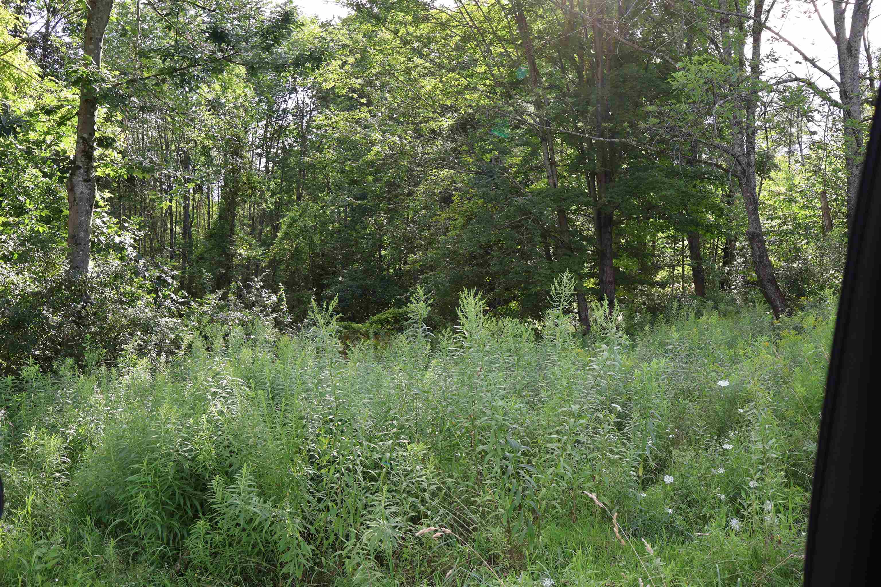 0 Town Farm Road Norwich, VT 05055 - Photo 7 of 10