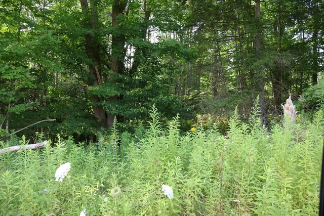 $648,000 | 0 Town Farm Road, Norwich, VT 05055