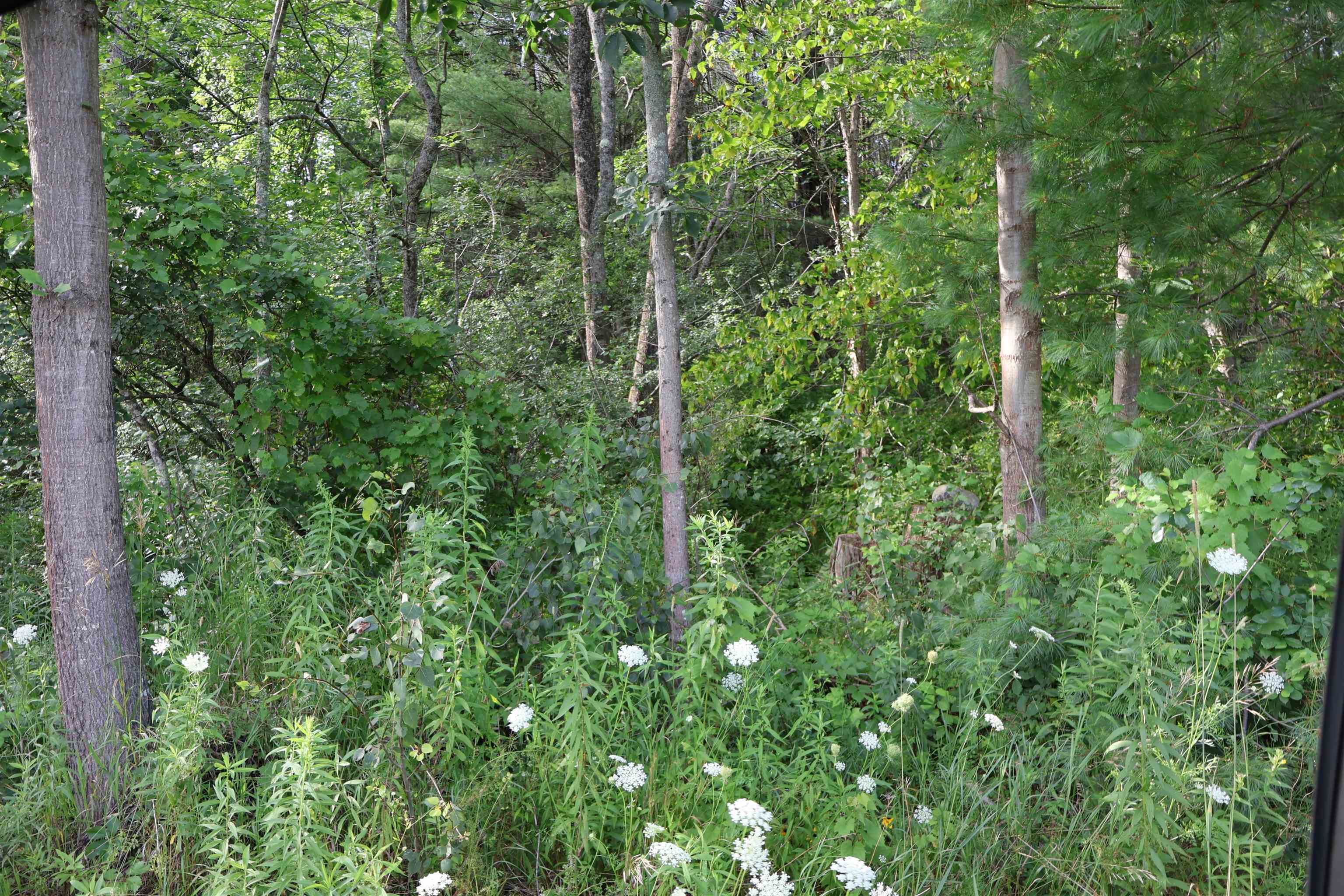 0 Town Farm Road Norwich, VT 05055 - Photo 9 of 10