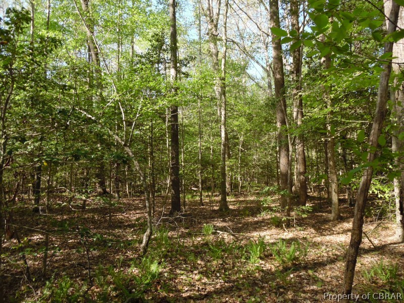 0 Milford Road Gloucester, VA 23061 - Photo 4 of 4
