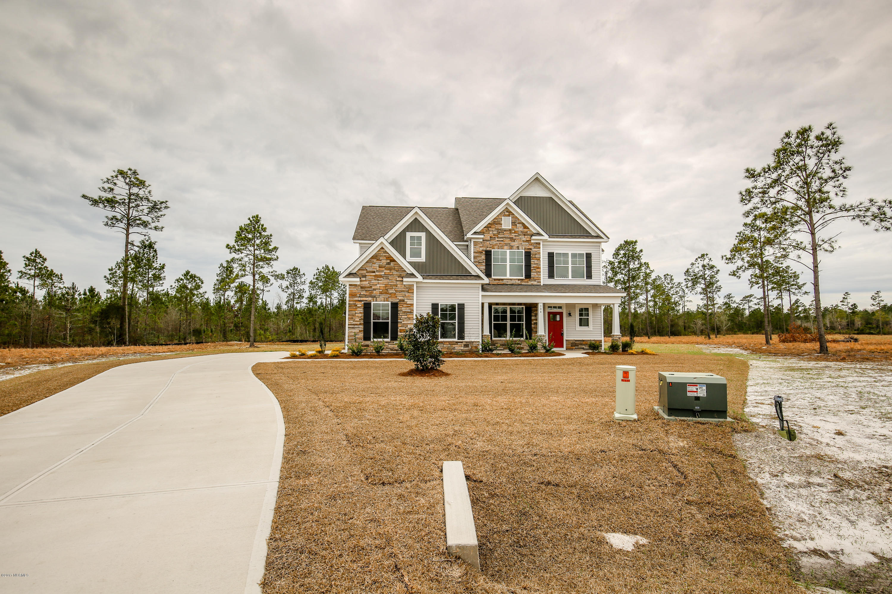 171 Peytons Ridge Drive Hubert, NC 28539 - Photo 3 of 56 similar home