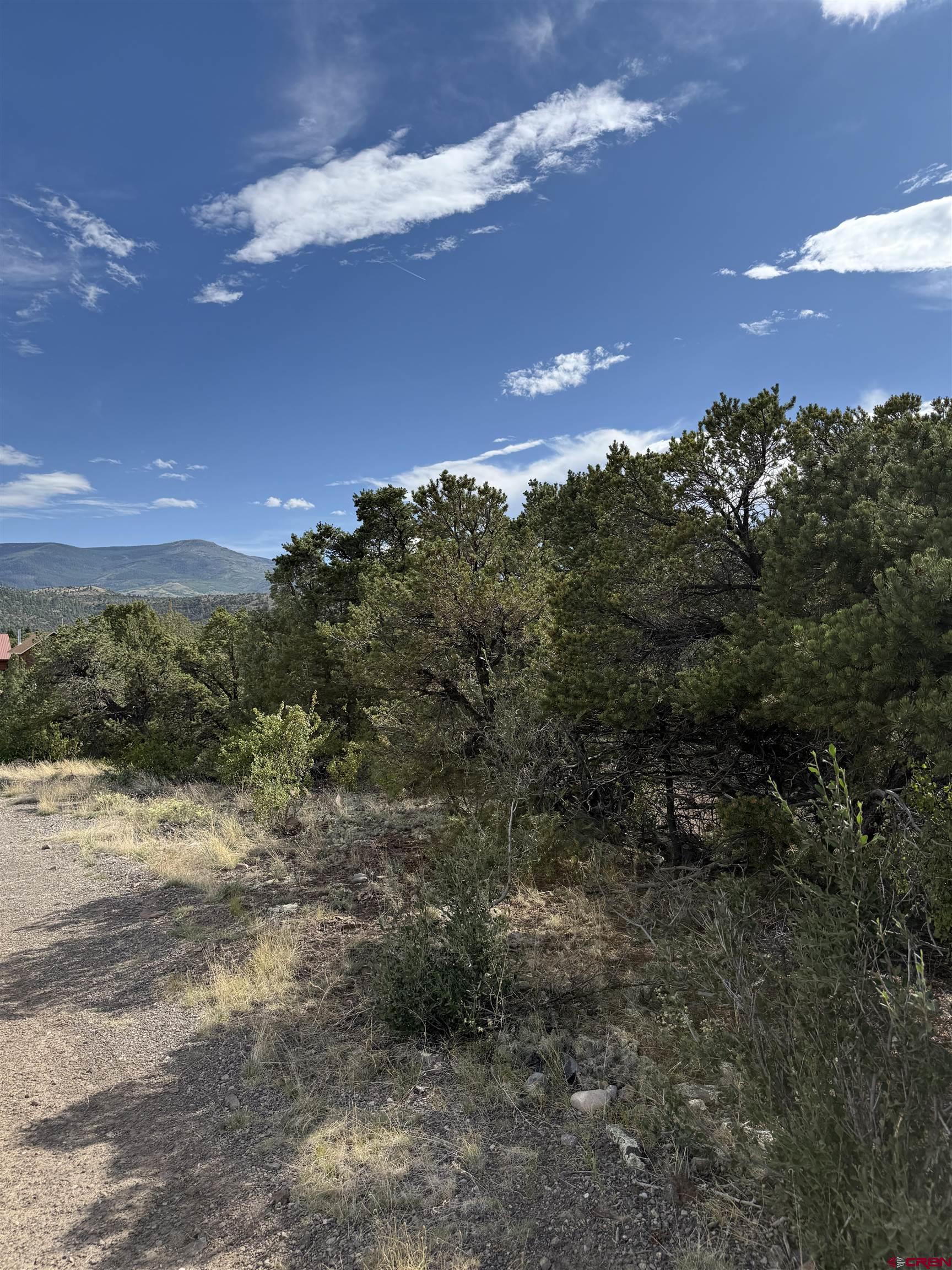 729 Vail Pass Road South Fork, CO 81154 - Photo 7 of 7