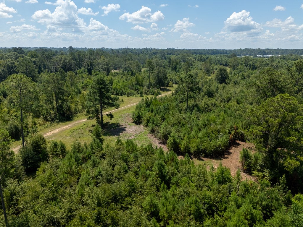 0 Union Road Hahira, GA 31632 - Photo 14 of 49 Gallery Image 14