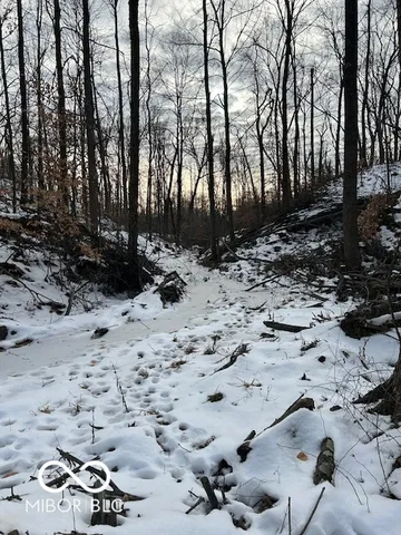 $299,900 | 0 Rea Cemetery Road, Coal City, IN 47431