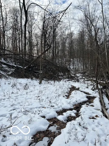 $299,900 | 0 Rea Cemetery Road, Coal City, IN 47431