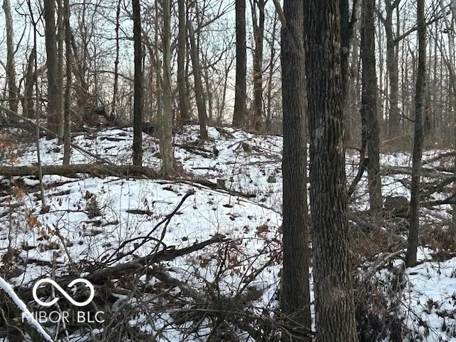 $299,900 | 0 Rea Cemetery Road, Coal City, IN 47431