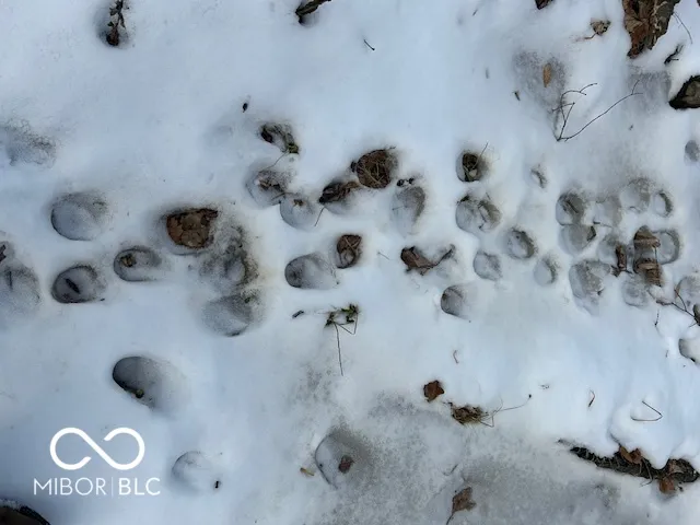 $299,900 | 0 Rea Cemetery Road, Coal City, IN 47431