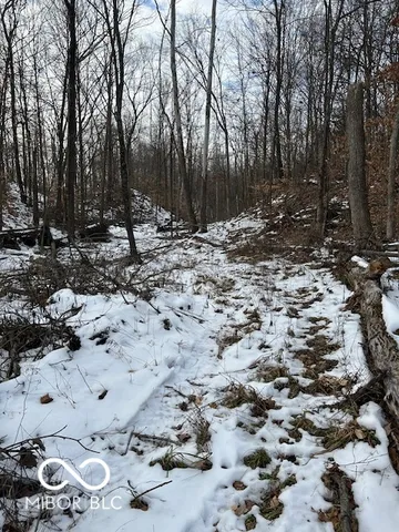 $299,900 | 0 Rea Cemetery Road, Coal City, IN 47431