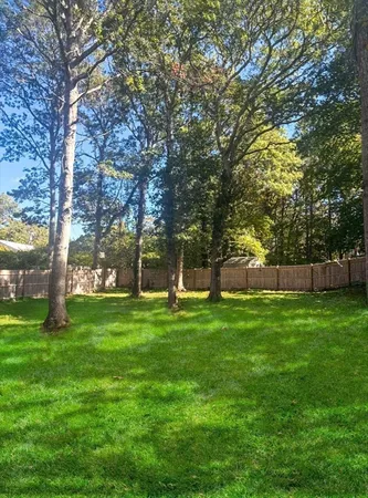 a view of a tree in front of a house with a big yard