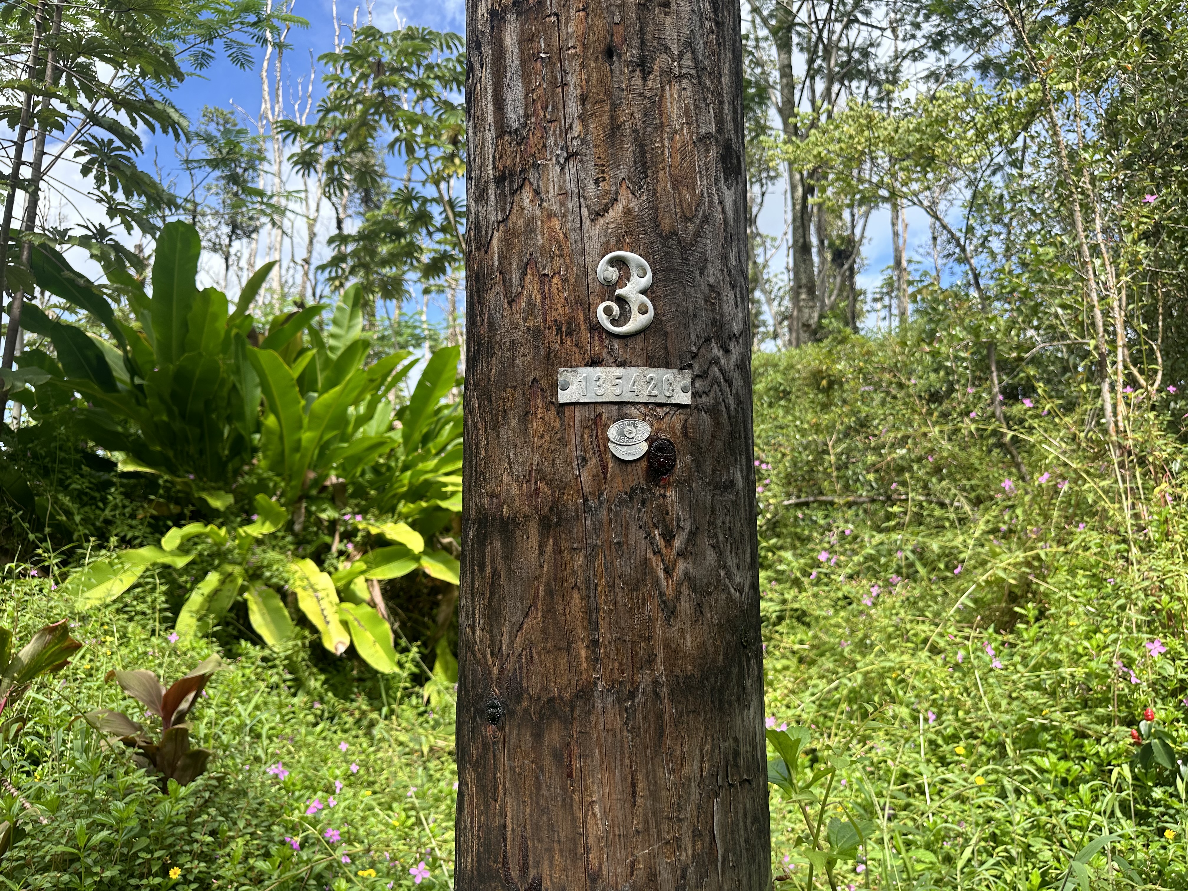 382 Lanai Road Pahoa, HI 96778 - Photo 8 of 8 Gallery Image 8