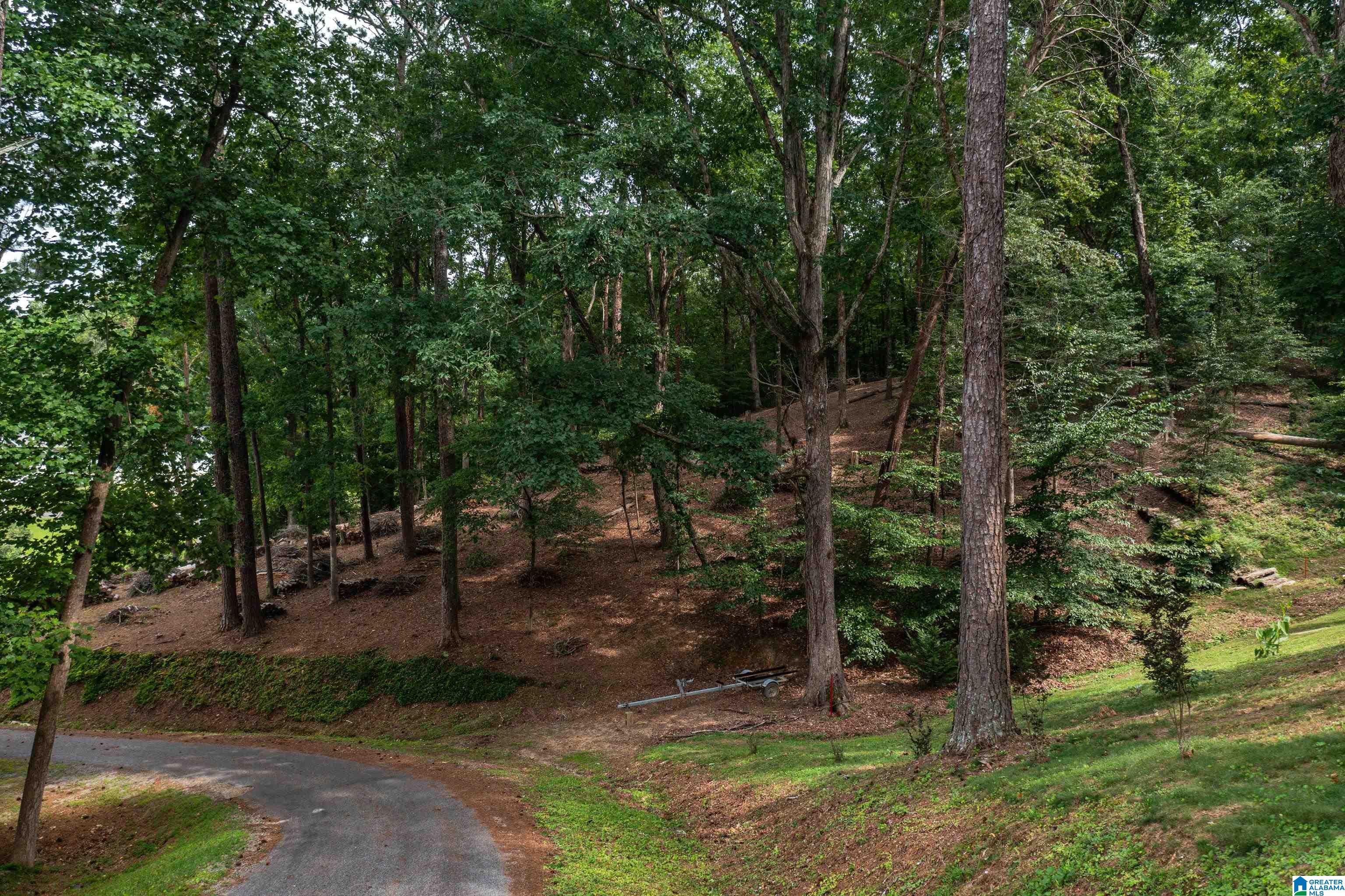 58 East Sunset Boulevard Oneonta, AL 35121 - Photo 9 of 40