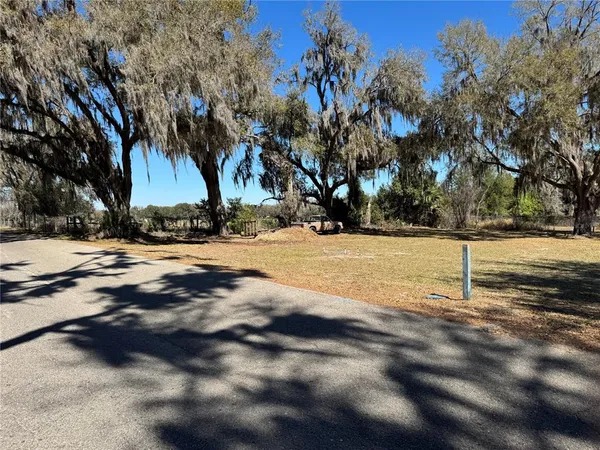 a view of road with large trees