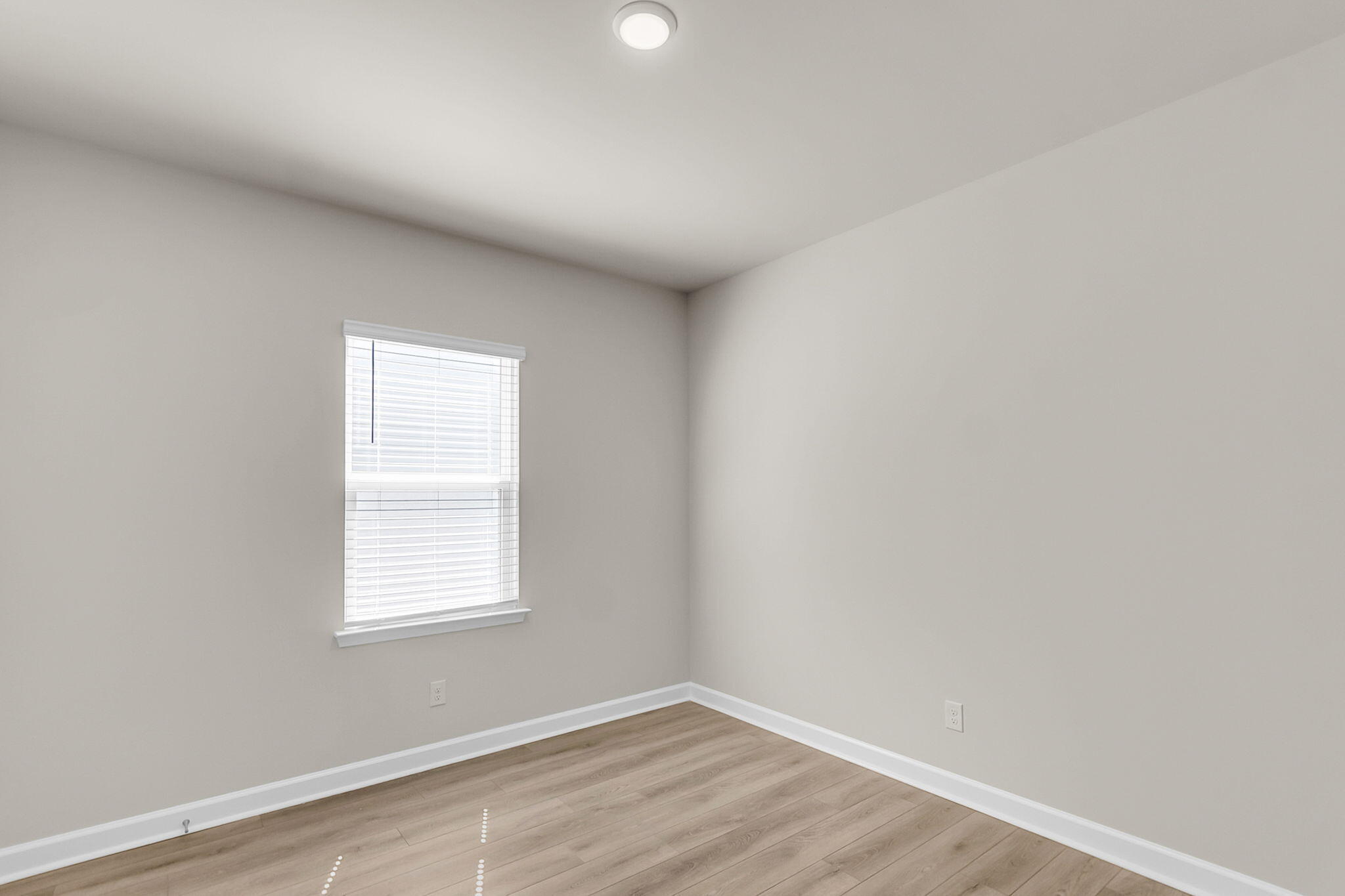 2091 Lavender Bloom Road Ravenel, SC 29470 - Photo 19 of 50