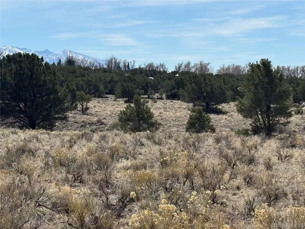 $19,500 | 2021 Lost Cave Way, Crestone, CO 81131