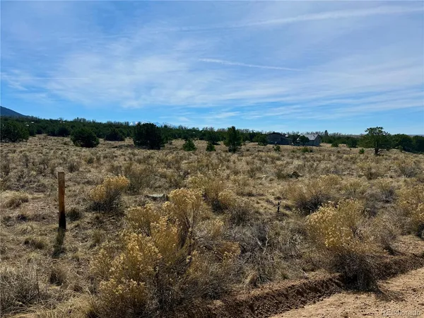 $19,500 | 2021 Lost Cave Way, Crestone, CO 81131