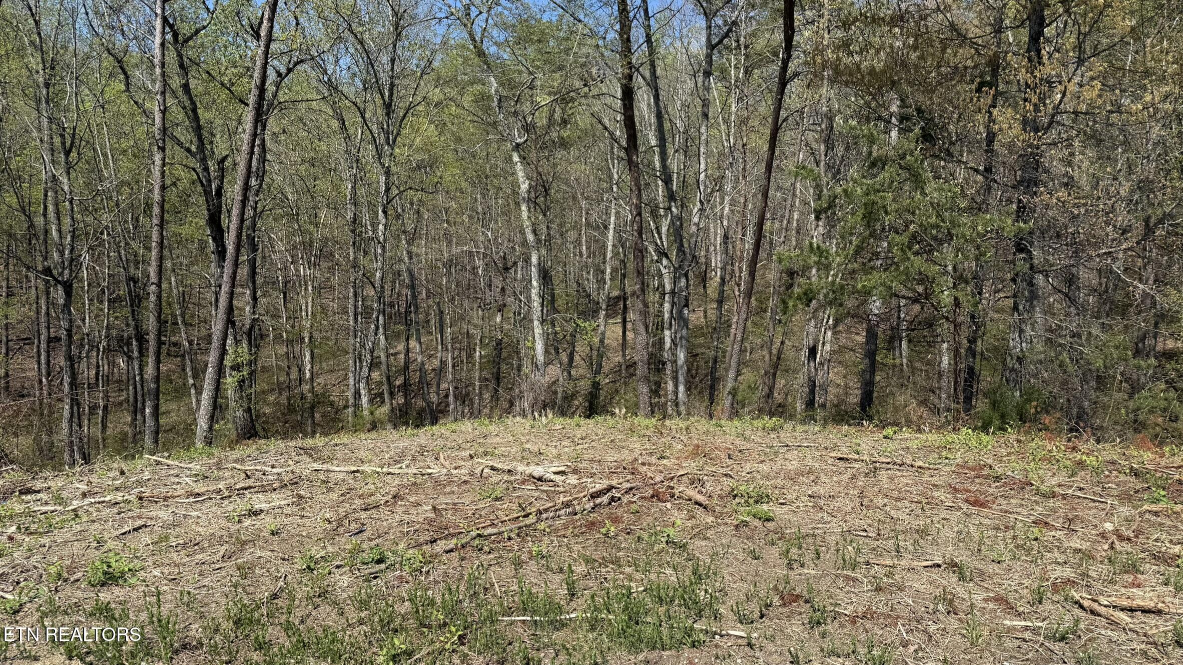 475 Bayside Boulevard Bean Station, TN 37708 - Photo 2 of 6 IMG_3440